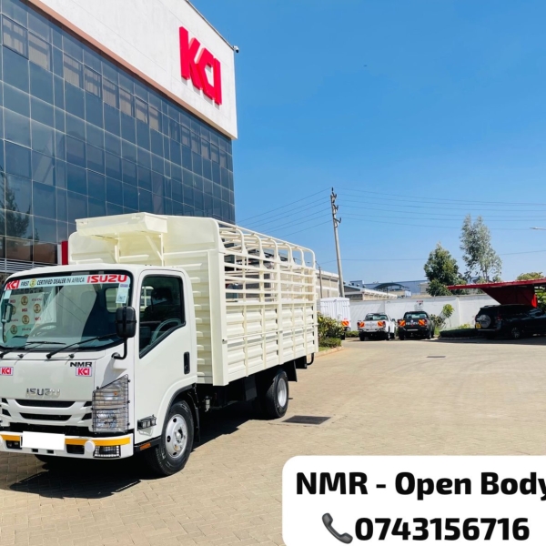 ISUZU NMR TRUCK